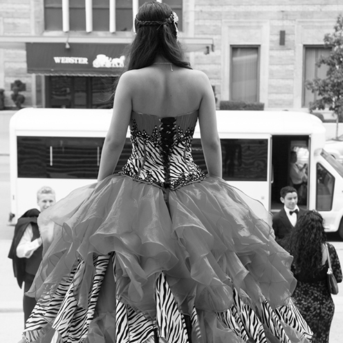 The Quinceañera of Sheyla Sarai